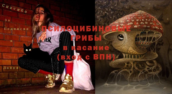 сатива Алексин