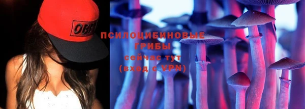 сатива Алексин